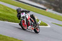 Oulton-Park-14th-March-2020;PJ-Motorsport-Photography-2020;anglesey;brands-hatch;cadwell-park;croft;donington-park;enduro-digital-images;event-digital-images;eventdigitalimages;mallory;no-limits;oulton-park;peter-wileman-photography;racing-digital-images;silverstone;snetterton;trackday-digital-images;trackday-photos;vmcc-banbury-run;welsh-2-day-enduro